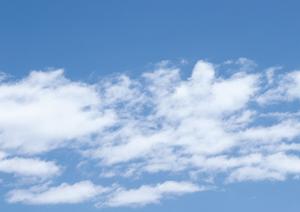 静岡市のペット供養を行う天然寺